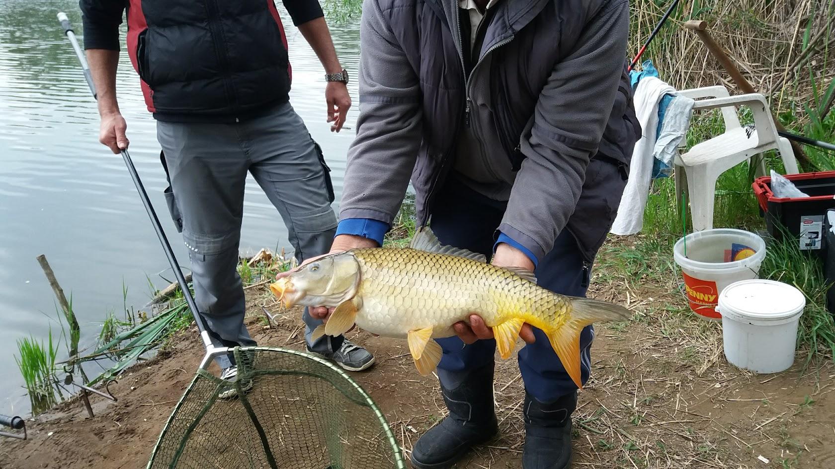 Horgászállás
