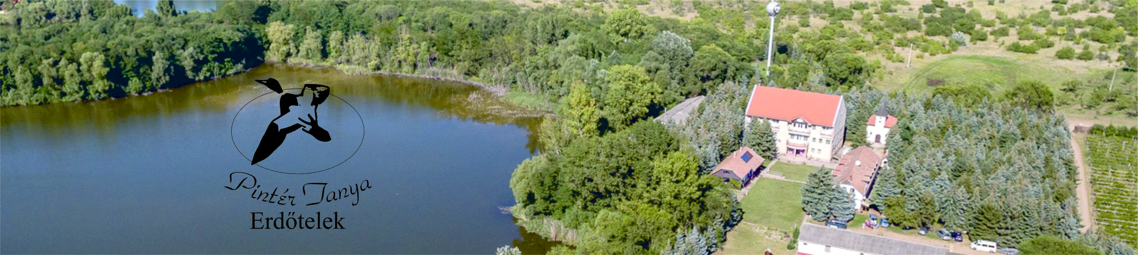 Pintér Tanya Panzió — légi panoráma a horgásztóval és a birtok épületeivel