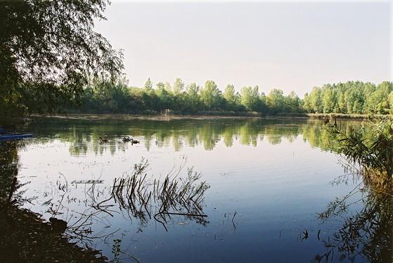 A Pintér Tanya 20 hektáros horgásztava hajnalban